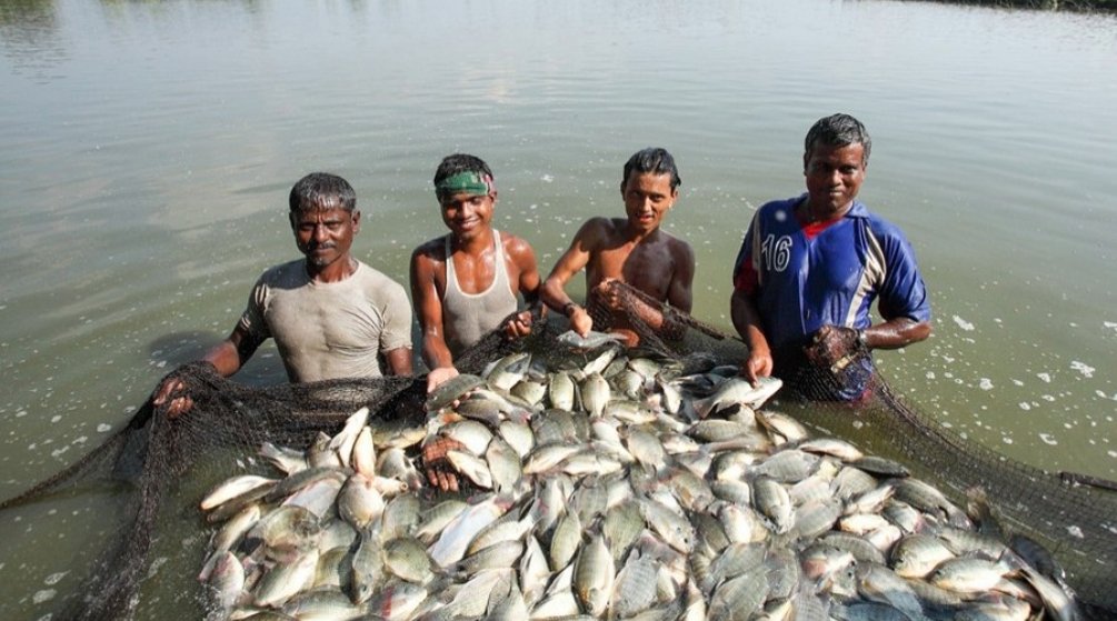 Fisheries policy revamp indispensable
