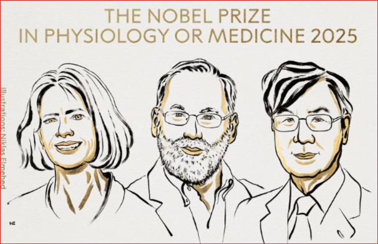 Medicine Nobel to trio who identified immune system's 'security guards'