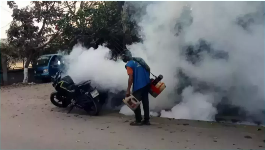 3 more die of dengue; 782 hospitalised