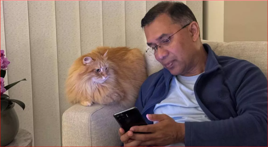 Tarique opens up: The cat in his photos isn’t just a prop!