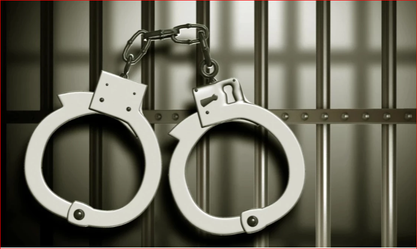 7 Chhatra League men among 11 held in Dhaka