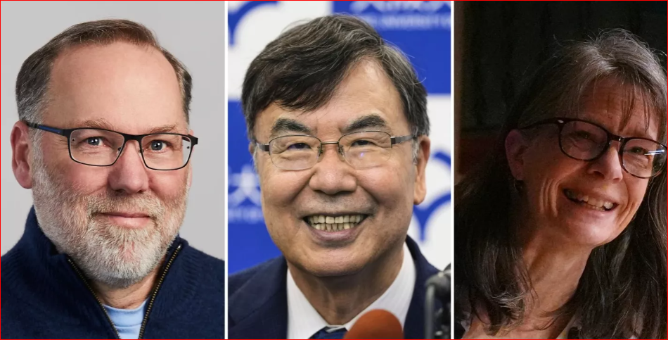 Three scientists share 2025 Nobel Prize in Medicine for groundbreaking immune system discoveries