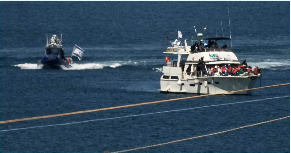 Israel must ensure safety, rights of flotilla activists: UN expert