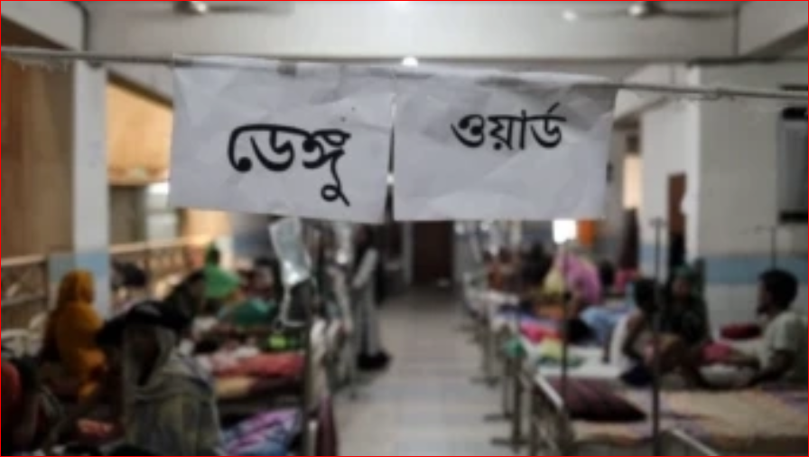 4 more die of dengue; 758 hospitalised