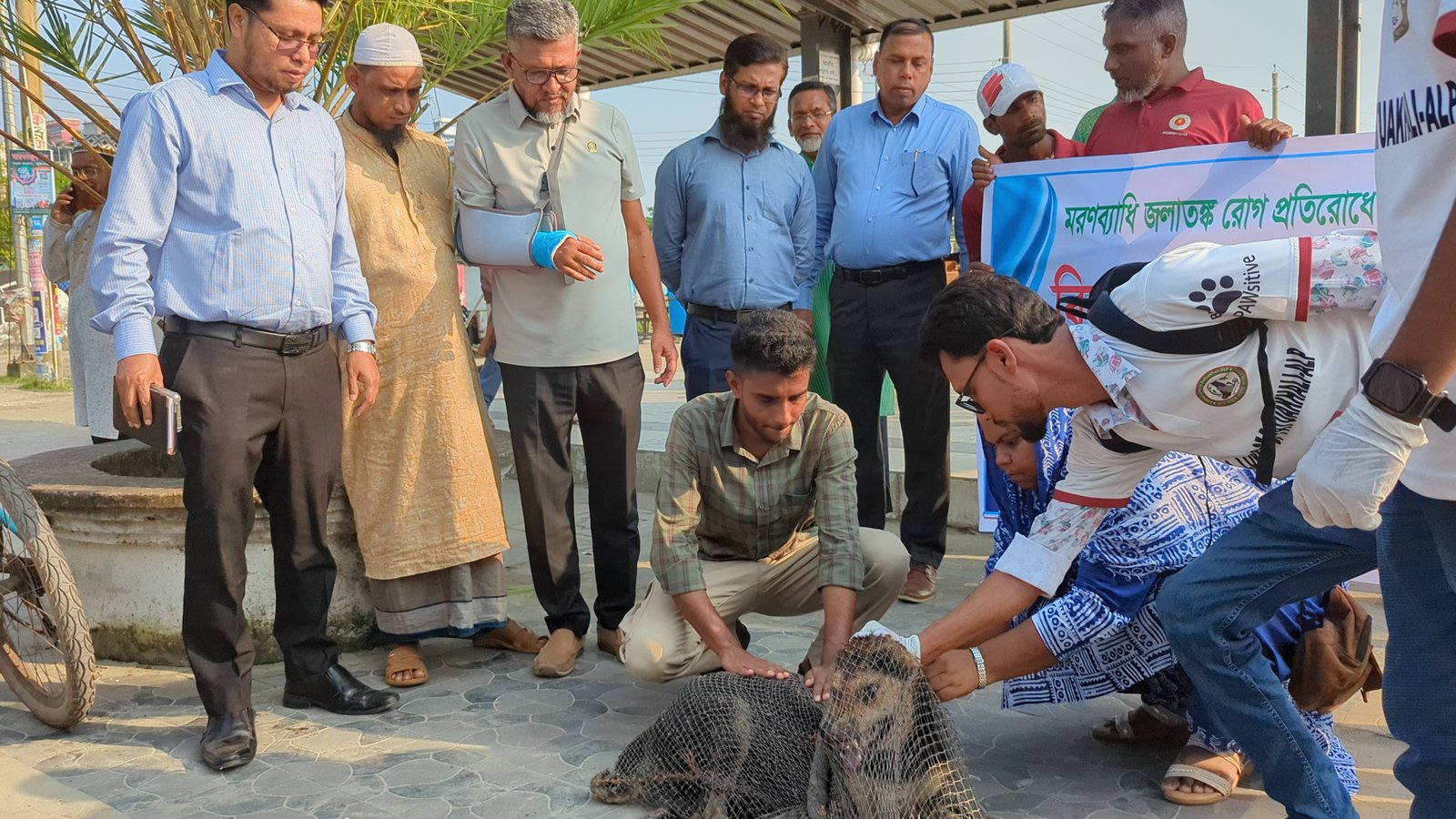 Month-long vaccination drive for  stray dogs, cats begins in Patuakhali