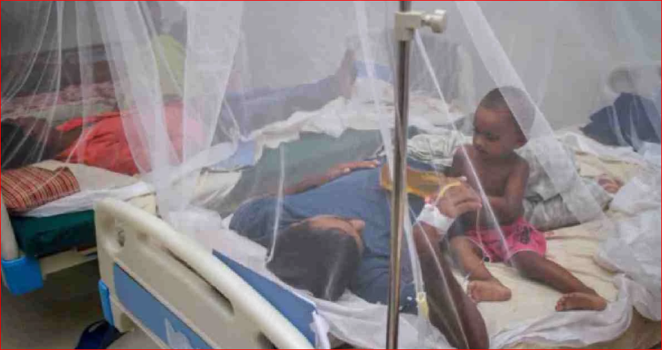 Dengue: 4 more dead, 814 hospitalised in 24hrs
