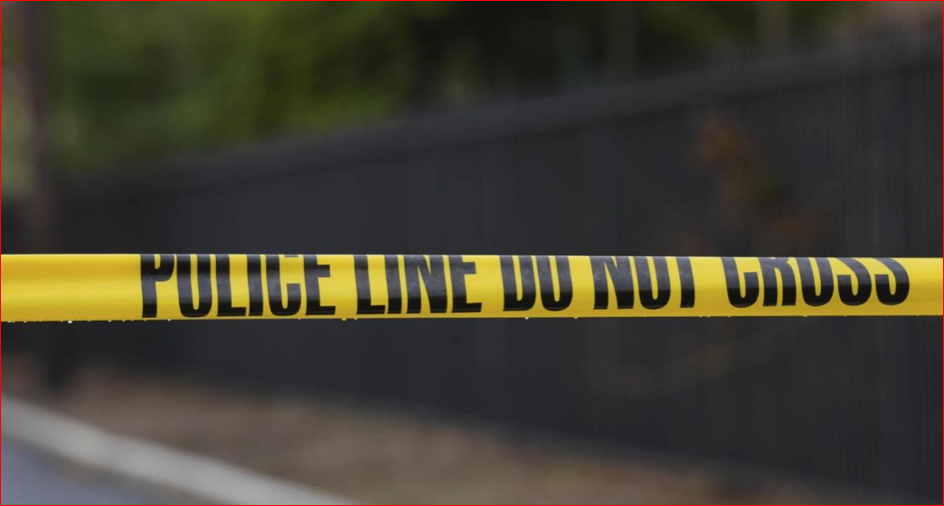 Indian-Origin businessman shot dead in Canada