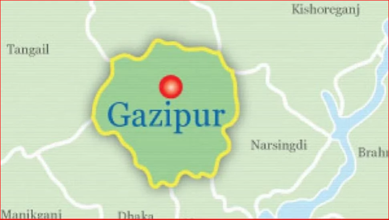 Horse meat seized in Gazipur; 37 sick horses recovered in raid
