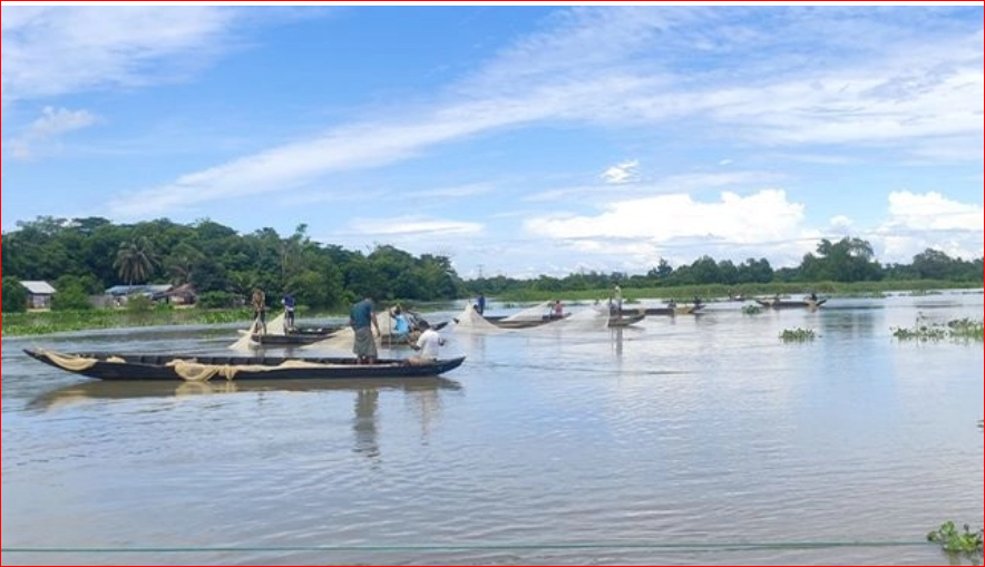 Halda River declared as ‘Fish Heritage’; fishing banned