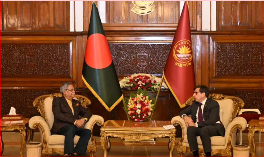French Ambassador presents credentials to President