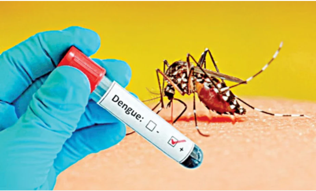 Authorities falter in curbing dengue scourge