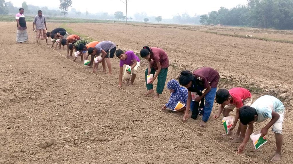 Schoolchildren solve farmer crisis in Dinajpur
