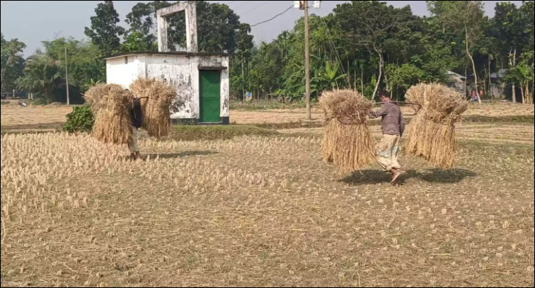 Lalmonirhat's ‘Nabanna’ spirit slips into memory