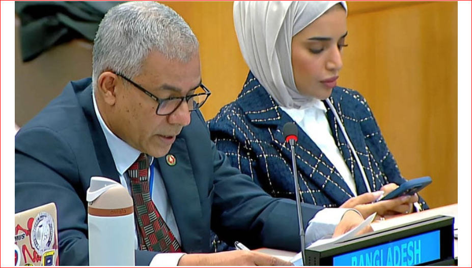 UNGA adopts resolution seeking return of Rohingyas to Myanmar