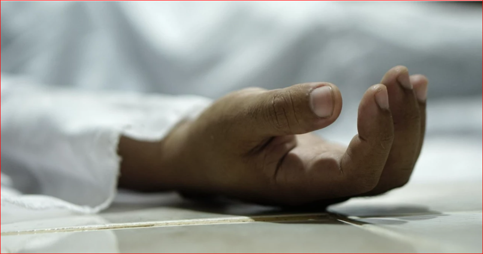 Pallabi Jubo Dal leader murder suspect dies after arrest