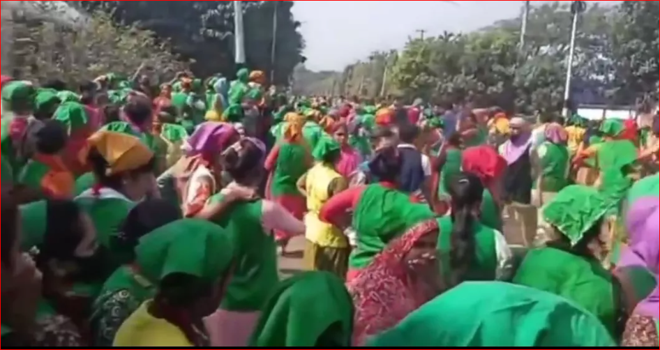 Scores of female workers at Cumilla EPZ fall unconscious