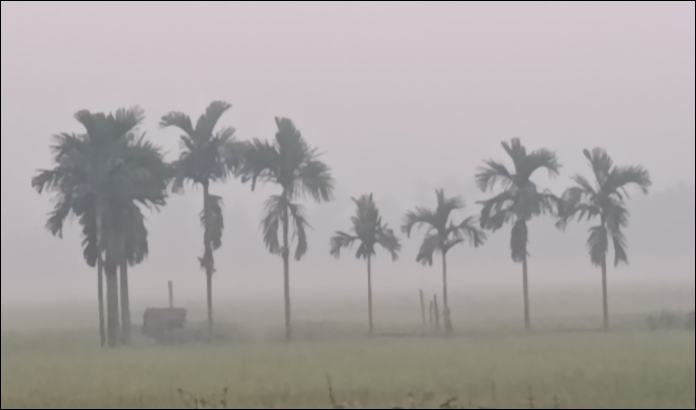 Cold weather grips northern district Panchagarh