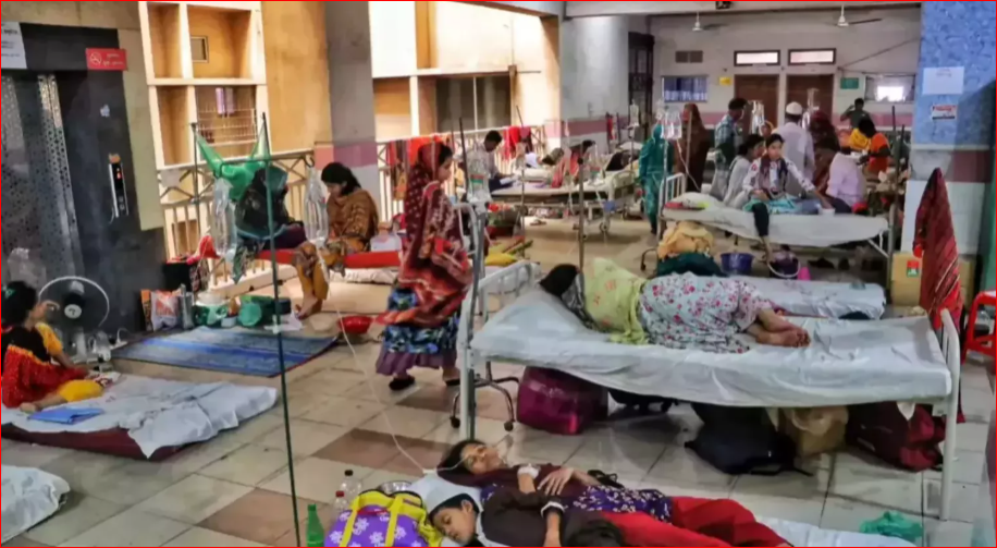 8 more dead, 778 hospitalised as Bangladesh fails to curb dengue