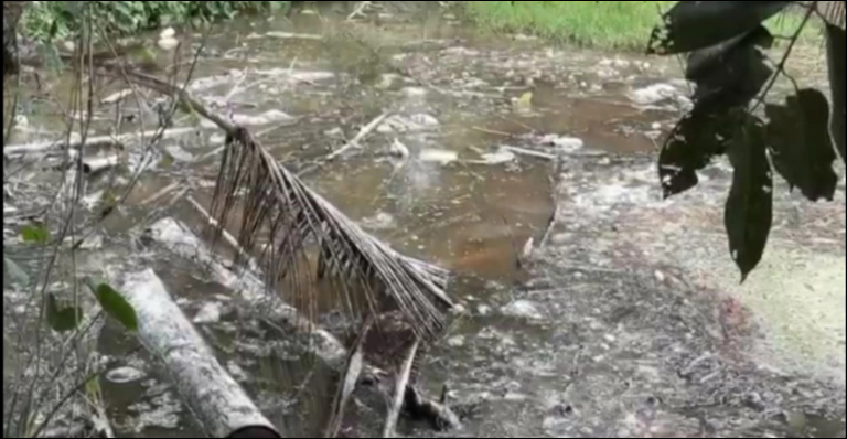 Unregulated poultry farms push Feni into a growing environmental crisis