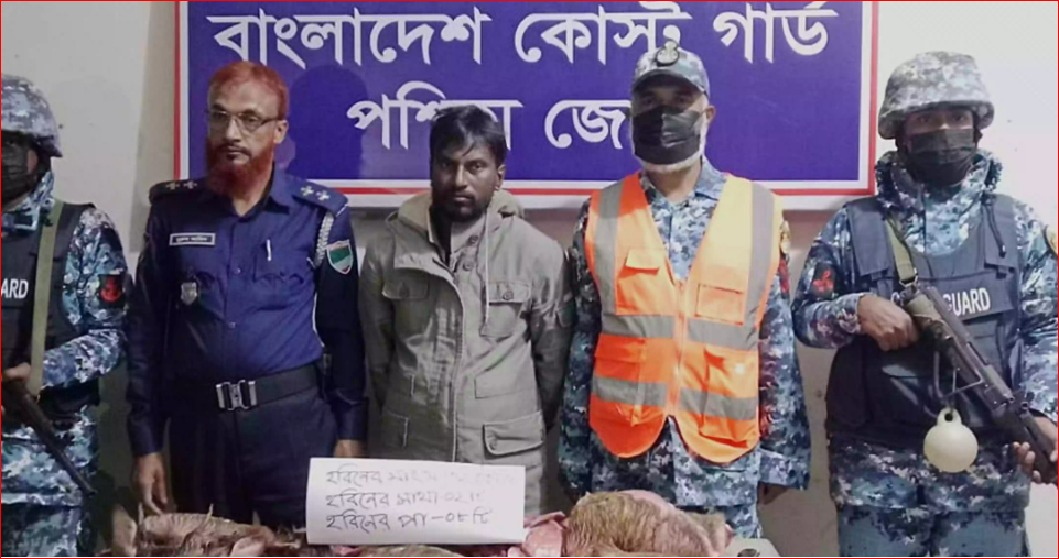 Deer poacher held with 32 kgs of deer venison, trap in Bagerhat