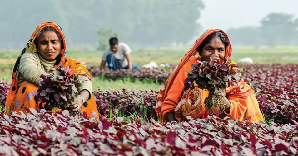 Women farmers seek recognition, equal access at Dhaka seminar