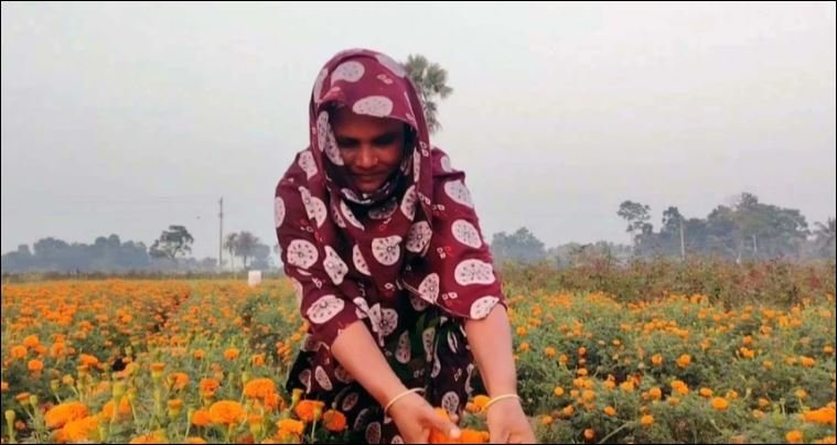 Jashore’s Gadkhali blooms with hope; flower business may cross Tk 400 crore 