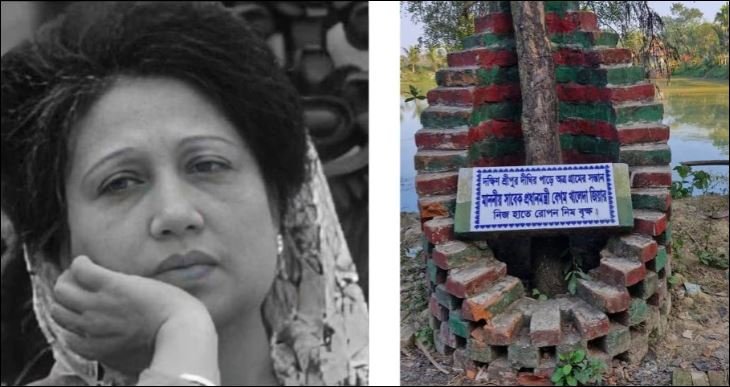Rooted in Feni: The neem tree that bears Khaleda’s memory