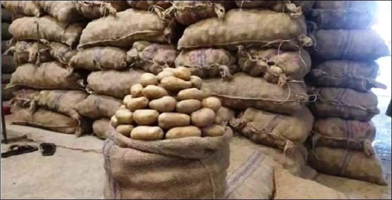 Bumper harvest, plunging prices; Chandpur’s potato market in crisis