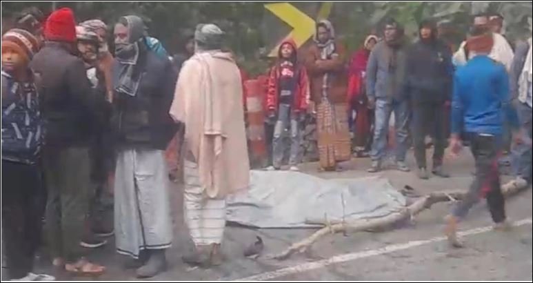 Fish trader killed in Chuadanga road crash