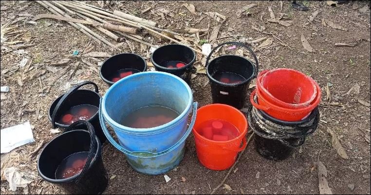 3 held with 95 crude bombs in Shariatpur