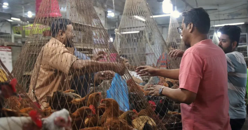 Chicken prices climb up to 20pc in Dhaka ahead of Eid
