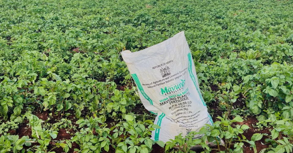 Iran war deepens fertilizer crisis, threatening global food prices