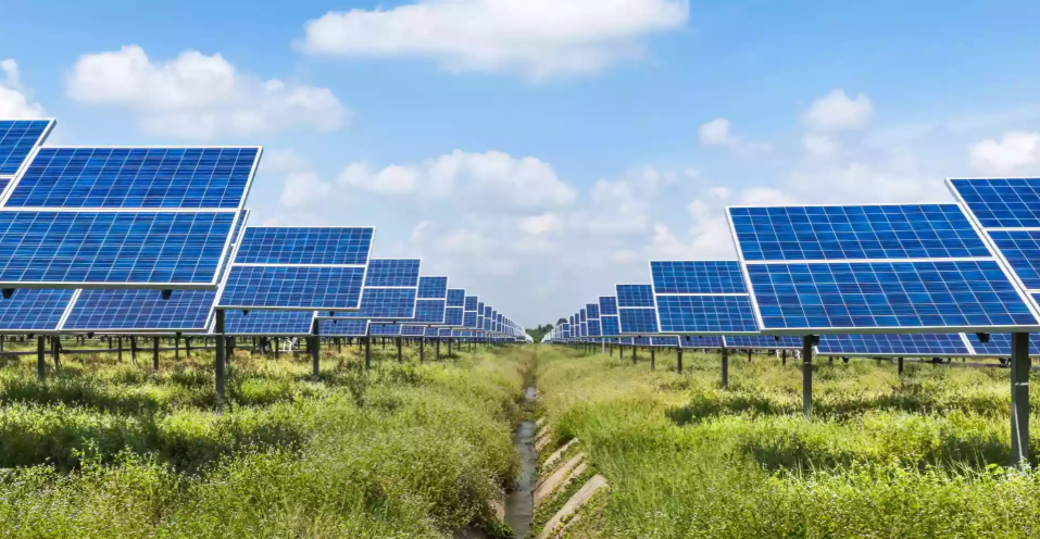 Solar power can fast-track Bangladesh beyond fossil fuels: Report
