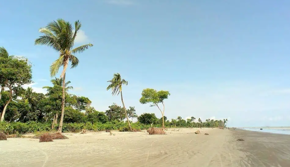 Govt committed to sustainable tourism, focus on Kuakata, coastal areas:PM