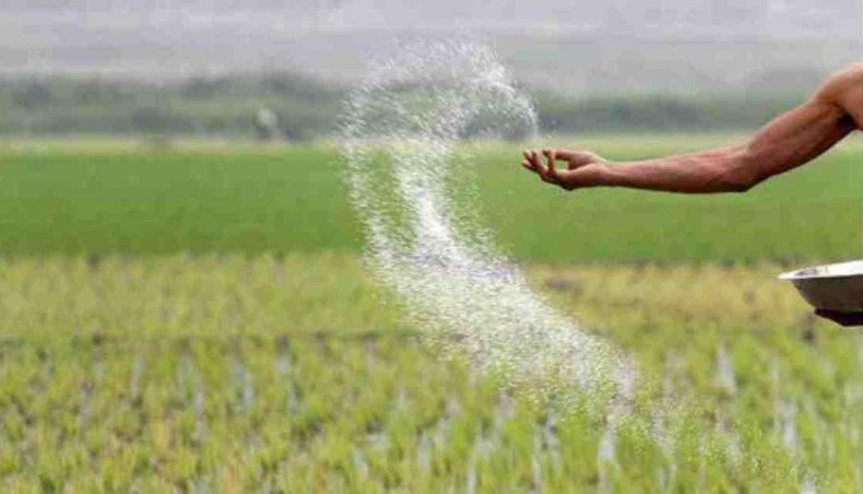Fear of fertilizer crunch must be allayed