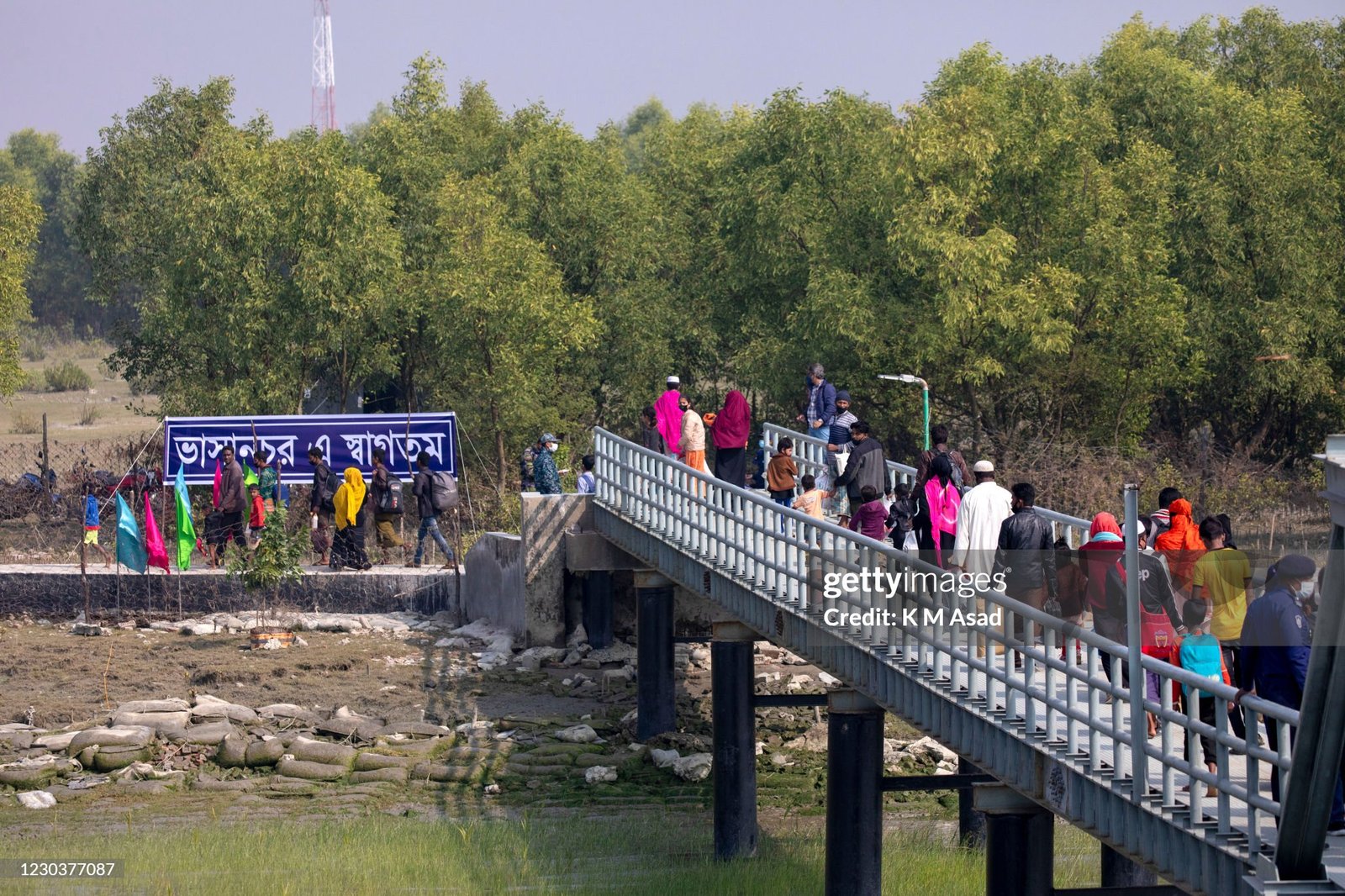 Stop denudation of Bhasan Char forest