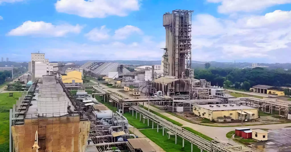 Ammonia crunch halts production at country’s lone DAP fertiliser plant