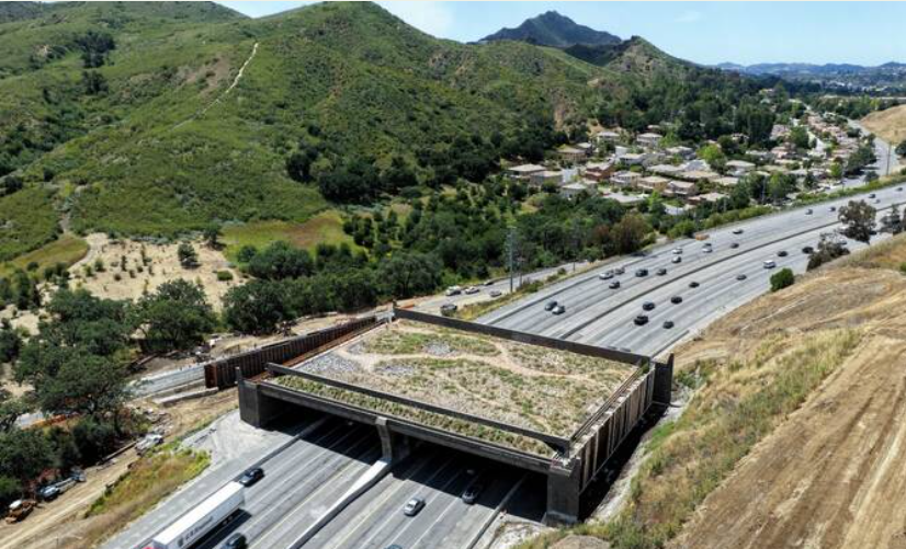 We have the power to ensure Earth has a sustainable future