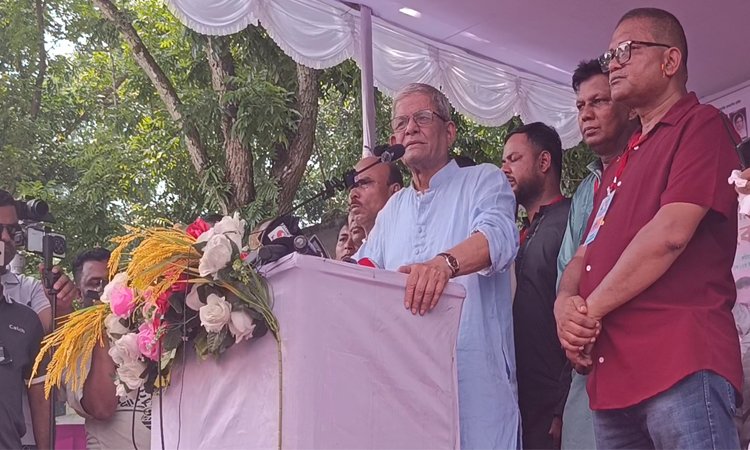 Govt taking steps to fulfil election pledges: Mirza Fakhrul