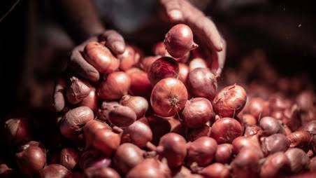 Rangpur Farmers Harvest Record 1.43 Lakh Tonnes of Onion