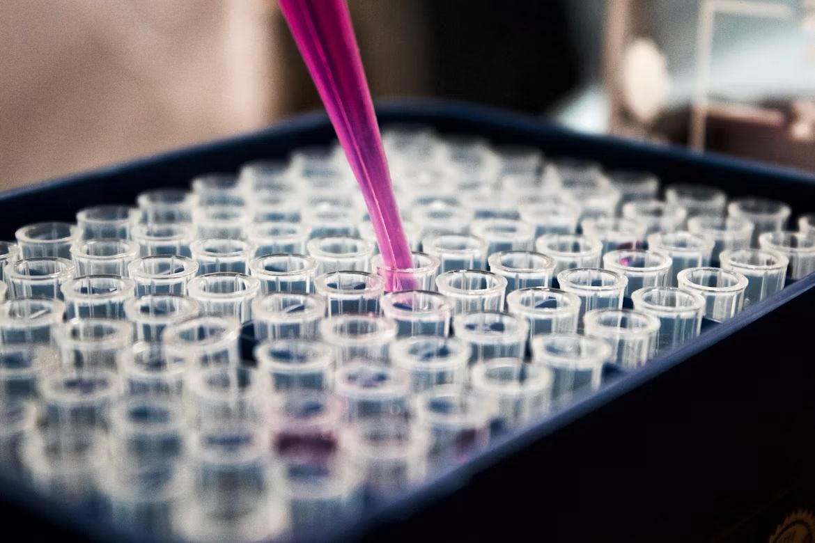 Research Explores Sermorelin and GHRP Peptides