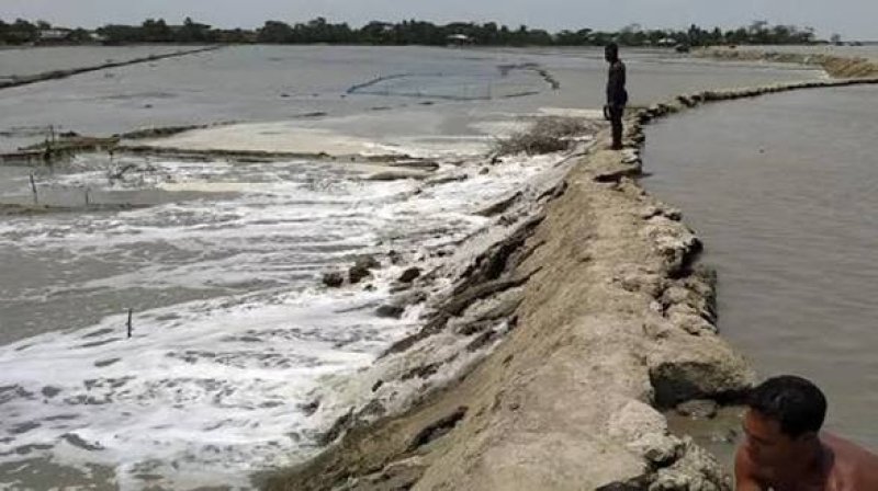 Delay in Tk 342cr Narail Embankment Raises Flood Risk