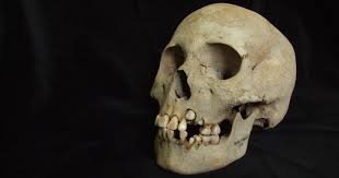 Ancient Siberian teeth reveal plague existed more than 5,500 years ago