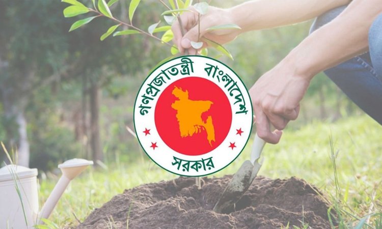 Bangladesh eyes $1b carbon gains from 25 crore trees