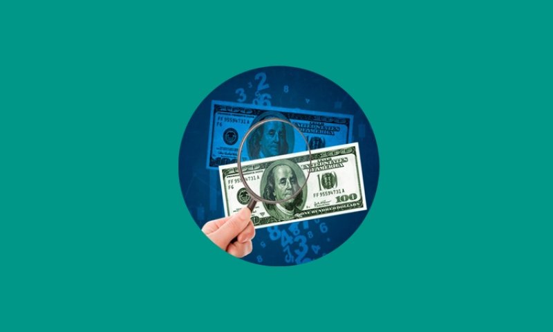 Remittance inflow remains strong with 17.8pc FY growth