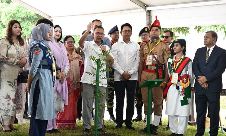 PM launches tree plantation campaign in secondary schools countrywide 