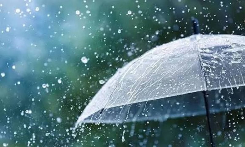 Light to moderate rain likely in parts of country