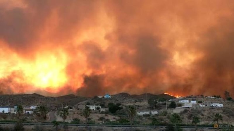 Wildfires in Spain leave at least 11 dead