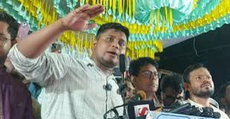 Politics must be freed from rogues: Hasnat