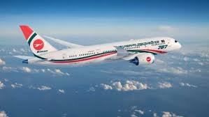 Biman invites bids to dry lease 3 dreamliners